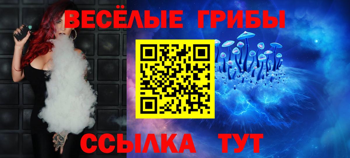 Псилоцибиновые грибы Psilocybe Благодарный